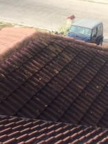 Roof cleaning, tile roofs