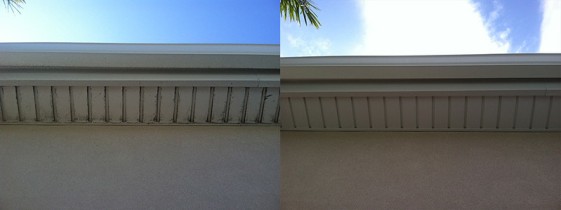 Before & After Gutter Cleaning.
