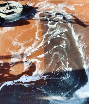 The difference a pressure washing can make.