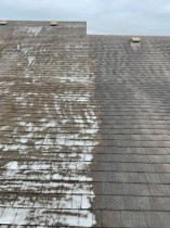 Side by Side Roof Wash